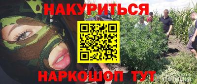mdpv Можга