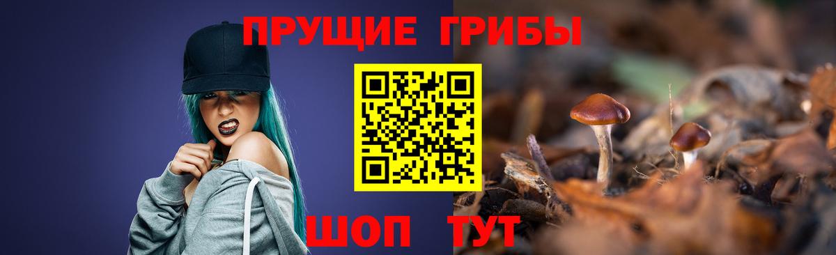 Советская Гавань  Галлюциногенные грибы мицелий  Вход с VPN 
